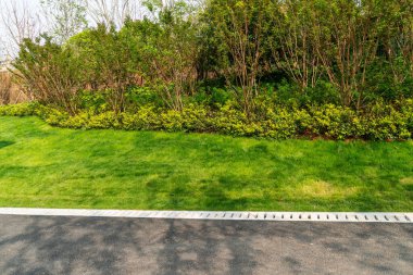 Sonbaharda yamaçta bir orman