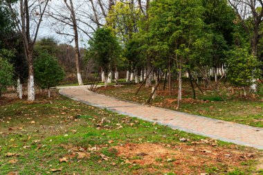 Çin 'deki Şehir Parkı yolu.