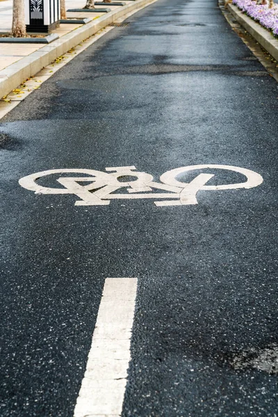 Das Symbol Eines Fahrradstreifens Auf Der Straße — Stockfoto