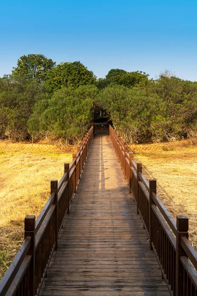 Wooden Bridge Little River City Park — Stock Photo, Image