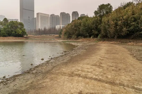 Edificio Oficinas Moderno Junto Lago China —  Fotos de Stock