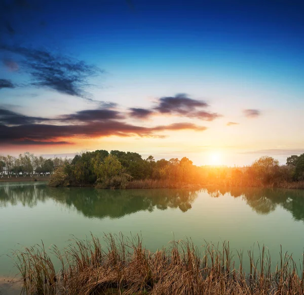 Красивое Лесное Озеро Осенью — стоковое фото