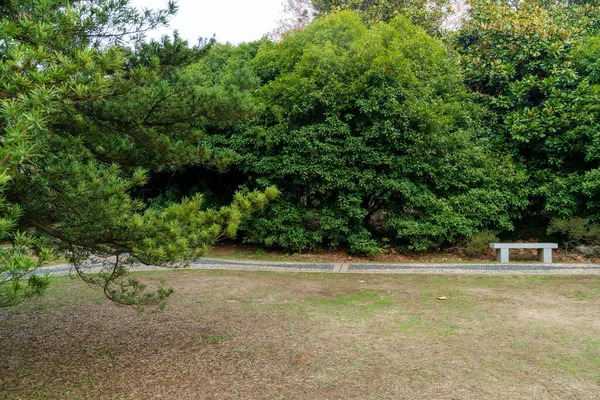 Gazon Bomen Tuin — Stockfoto