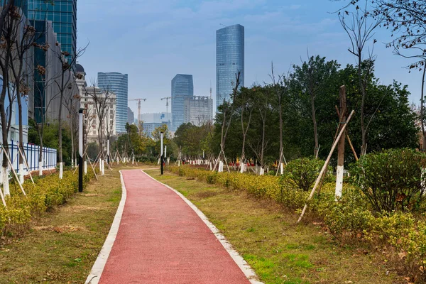 Parque Cidade Com Moderno Edifício Fundo Shanghai — Fotografia de Stock