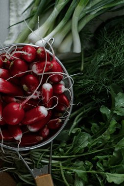Bir kevgir ve yeşillik bir tablo taze turp