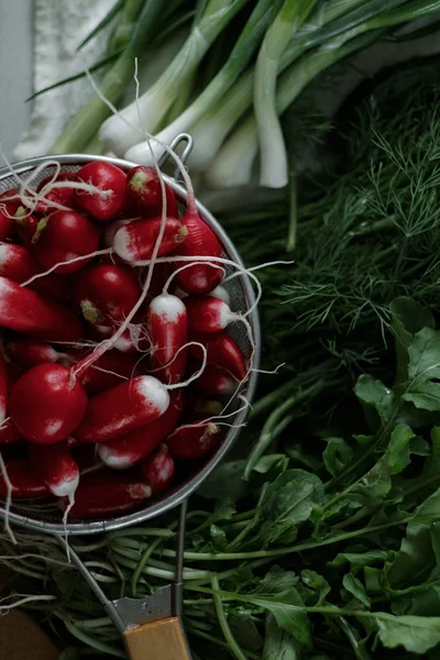 Bir kevgir ve yeşillik bir tablo taze turp