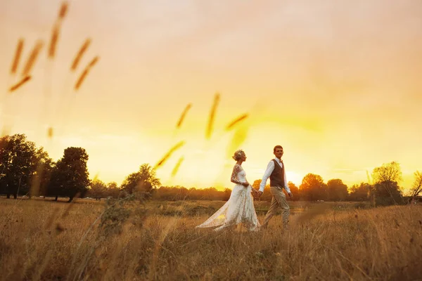Para w ślub stroje na tle pola na zachód słońca, Panna młoda i pan młody. — Zdjęcie stockowe