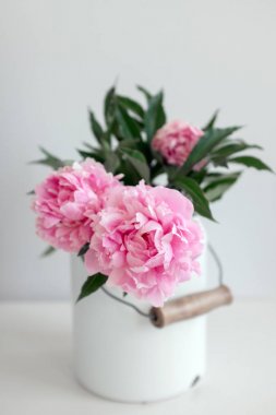 Bir tuval içinde pembe peonies