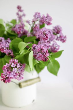 Leylak bir tuval içinde