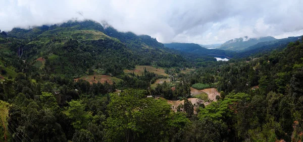 Plantaciones de té y bosques en Sri Lanka . — Foto de Stock