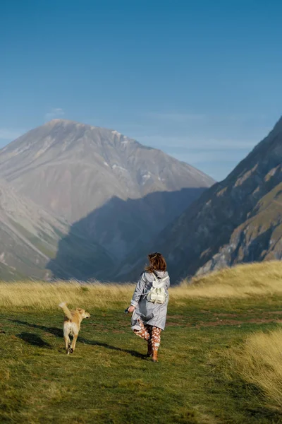 Una chica está paseando con un perro en las montañas — Foto de Stock
