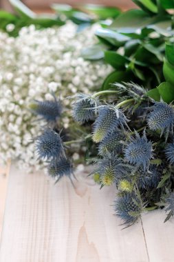 Mavi çiçekler Eryngium masada