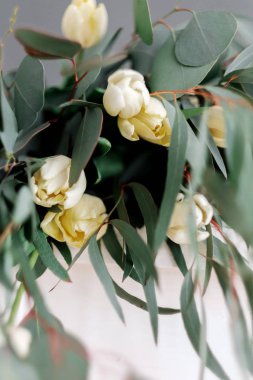Beyaz Laleler ve okaliptüs. Yeşil yaprakları ile hassas bahar buket