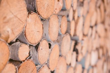 Hazırlanan şömine için odun yığar. Ahşap arka plan - portre.