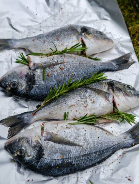 Biberiye dal taze dorado balıkla