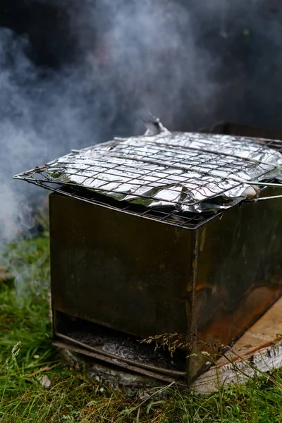 Parrilla con pescado en una lámina en una parrilla —  Fotos de Stock