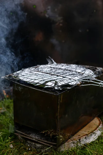 Parrilla con pescado en una lámina en una parrilla —  Fotos de Stock