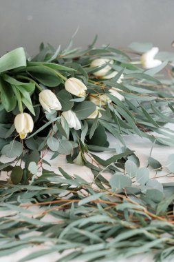 Beyaz Laleler ve okaliptüs. Yeşil yaprakları ile hassas bahar buket