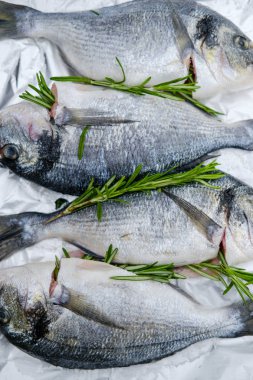 Biberiye dal taze dorado balıkla