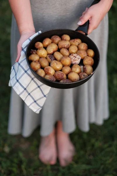 Female Hands Holding Pan Fried Potatoes — Stock Photo, Image