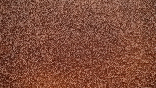 Kahverengi Deri Dokusu Arkaplanı — Stok fotoğraf