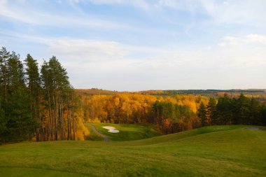 Sonsuz ormanın güneşli sonbahar günündeki manzarası.