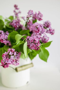 Leylak Beyaz tencere bir buket