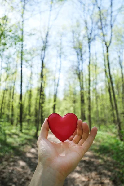 Male Hand Holding Toy Heart Forest Background Romantic Concept — Stock Photo, Image