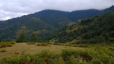 Gürcistan dağlarının pelerini