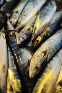 İçinde belgili tanımlık çarşı taze uskumru balığı 