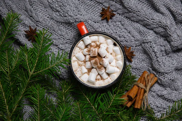 Kakaogetränk Becher Mit Eibisch Auf Winterlichem Hintergrund Mit Anis Und — Stockfoto