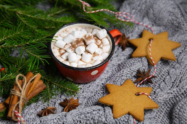 Kakaogetränk Becher Mit Eibisch Auf Winterlichem Hintergrund Mit Anis Und — Stockfoto