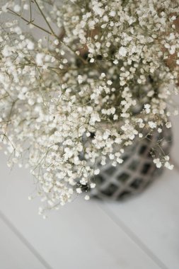 White dried flowers in vase