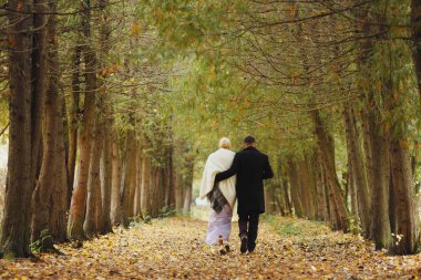 Güzel yeni evli çift parkta poz veriyor.