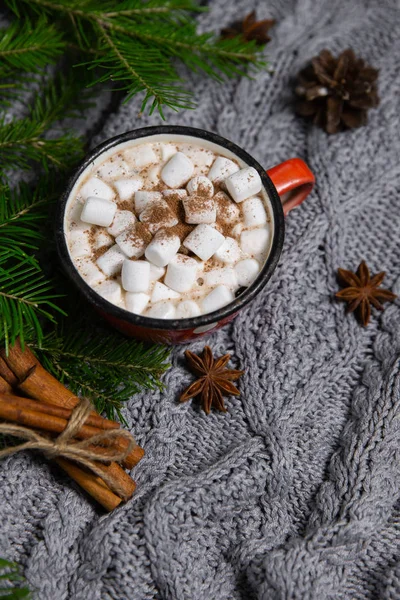 Kakaogetränk Becher Mit Eibisch Auf Winterlichem Hintergrund Mit Anis Und — Stockfoto