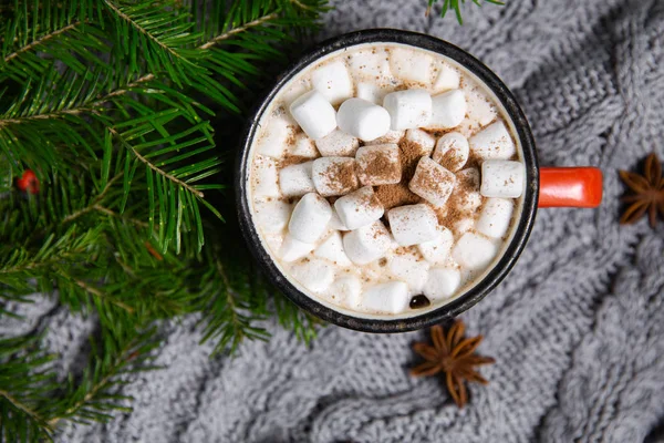 Kakaogetränk Becher Mit Eibisch Auf Winterlichem Hintergrund Mit Anis Und — Stockfoto