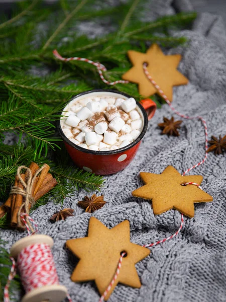 Kakaogetränk Becher Mit Eibisch Auf Winterlichem Hintergrund — Stockfoto