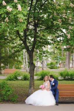 Güzel yeni evliler bahar parkında poz veriyorlar.