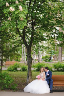 Güzel yeni evliler bahar parkında poz veriyorlar.