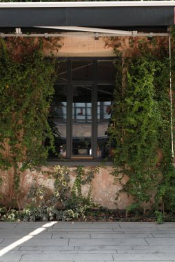 Asılan çiçeklerle bir bina