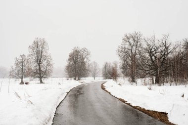 Karlı Ormanı'nın doğal görünümü