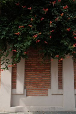 Asılan çiçeklerle bir bina