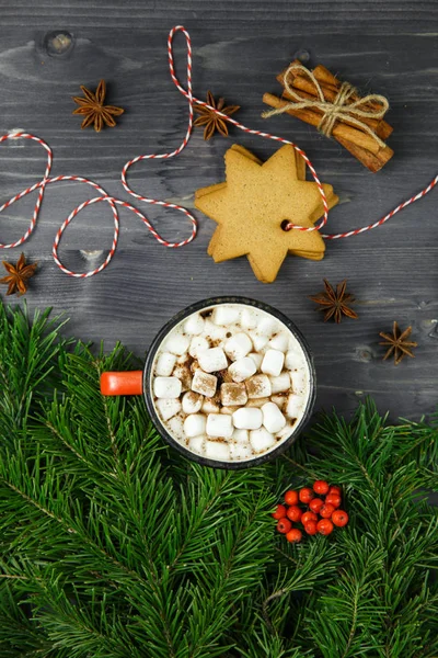 Kakaogetränk Becher Mit Eibisch Auf Winterlichem Hintergrund Mit Lebkuchen — Stockfoto