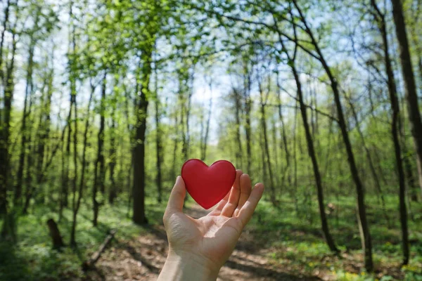 Mano Humana Sosteniendo Corazón Rojo Bosque — Foto de Stock