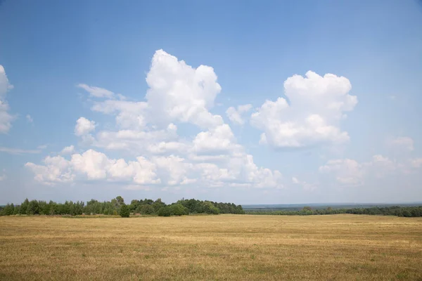 Paisaje Del Campo Día Sombrío — Foto de Stock