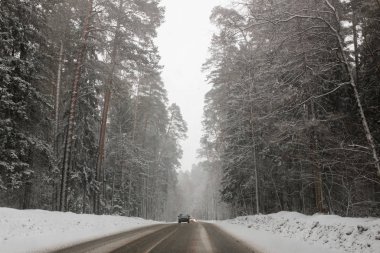 Karlı Ormanı'nın doğal görünümü