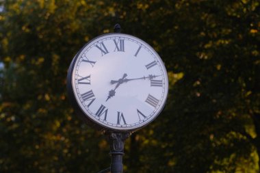 Parktaki eski saatin yakın plan görüntüsü 