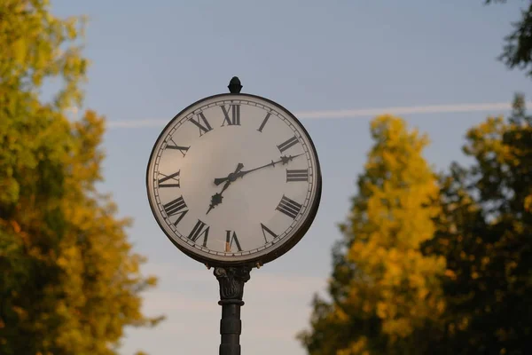 Vue Rapprochée Vieille Horloge Dans Parc — Photo