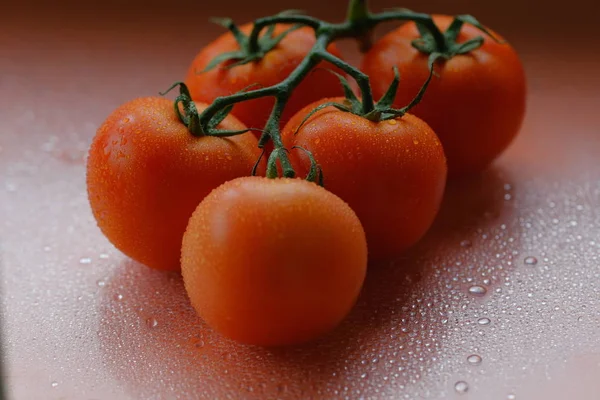 Vue Rapprochée Des Tomates Sur Branche — Photo