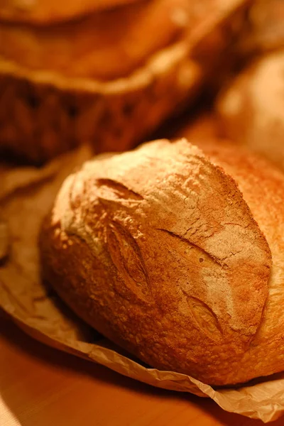 新鲜烘烤面包的品种 — 图库照片